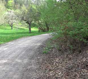 Walderlebnisweg Rottenburg
