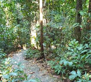 Khao Lak-Lam Ru National Park