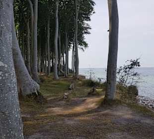 Wandern Diedrichshagen