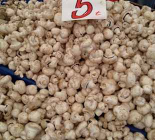 Pilze das kg für 5 TL