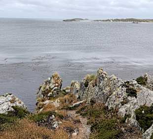 Falklandinseln