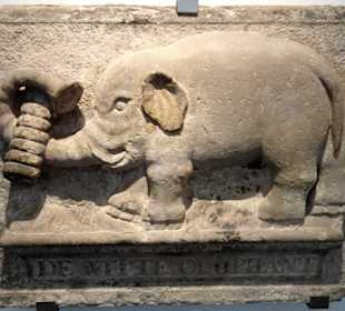 Steinerne Zeitzeugen im Landesmuseum