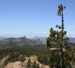 Blick zum Teide auf Teneriffa