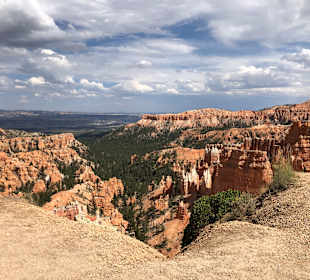 North Rim Grand Canyon