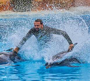 Loro Parque