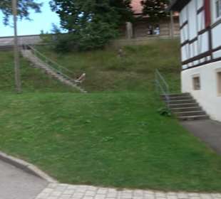 Haupt- und Landgestüt Marbach