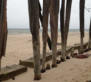 Beim Strandspaziergang entdeckt