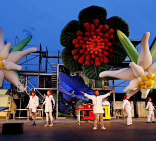 Bühnenshow 