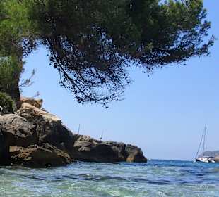 Am liebsten gleich wieder in den Flieger