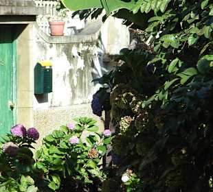 Gasse in Jardim do Mar