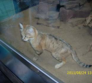 Besuch im Berliner Zoo