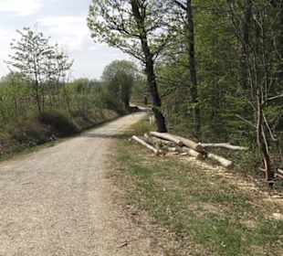 Wanderweg Firstwaldrunde