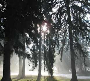 Kurpark