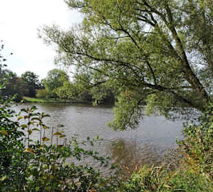 Rundgang um den Drielaker See