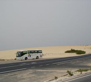 Dünenlandschaft El Jable