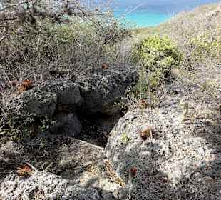 Eindrücke vom Rundgang über den Trail