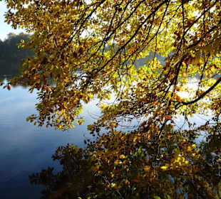 Impressionen vom Rundgang am Achterdieksee