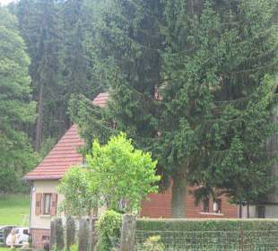 Biosphärenreservat Nordelsaß