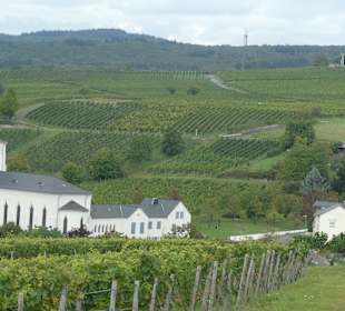 Wanderung vorbei am Kloster Johannisberg