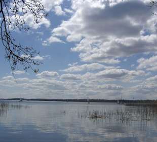 Sztynort - widok na jezioro dargin