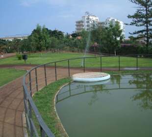 Taoro Park nach Umbau