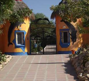 Eingang zum Delphinarium