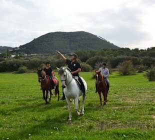 Ausritt "Tal von Randa"