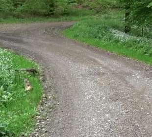 Naturpark Schönbuch