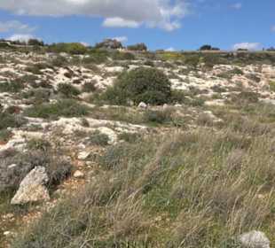 Hagar Qim & Mnajdra Temples