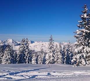 Reith bei Kitzbühel