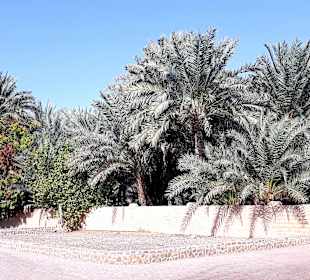 Al Ain Oase