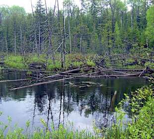 Bruce Peninsula Nationalpark.