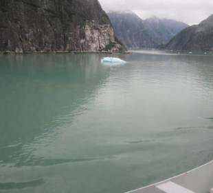 MS Zaandam befährt den Tracy Arm Fjord