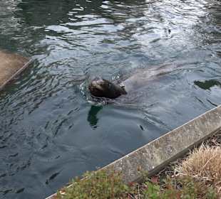 Zoologischer Stadtgarten