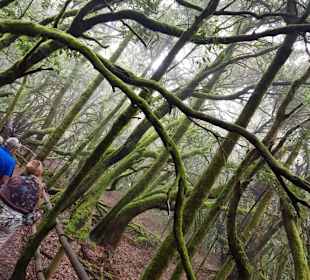 Landschaft von La Gomera