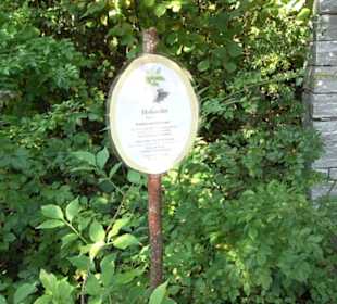 Engelhaldepark