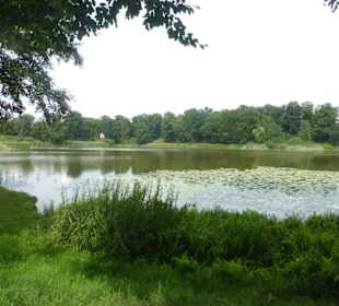 Haussee