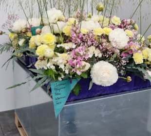 Was für ein Bild...