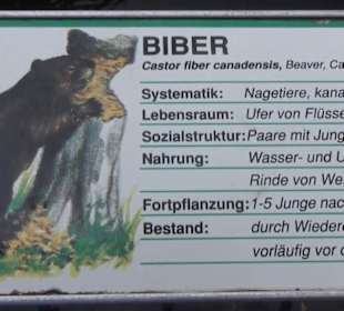 Biber