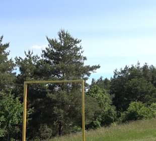 Naturschutzgebiet Hirschauer Berg