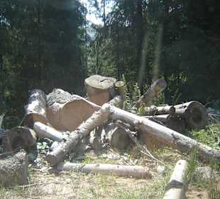 Parcul Natural Apuseni