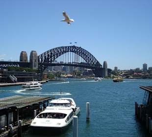 Blick auf den Katamaran nach Double Bay