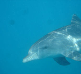 Wunderschöner Ausflug mit SimSim Reisen