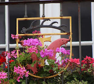 Stadtrundgang Freudenstadt