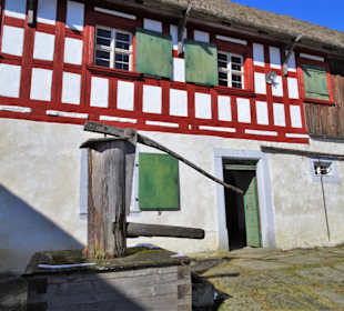 Der Dietelhof als Keimzelle des Museums