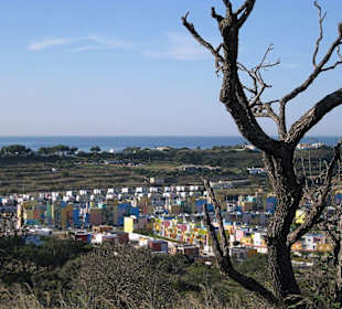 Yacht-Hafen Albufeira & Umgebung