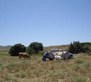 Landleben neben dem Strand
