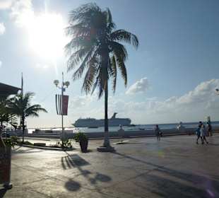 Wir kommen wieder auf die Insel Cozumel