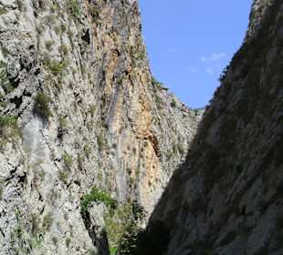 Blick aus dem Canyon