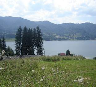 Lacul Colibița